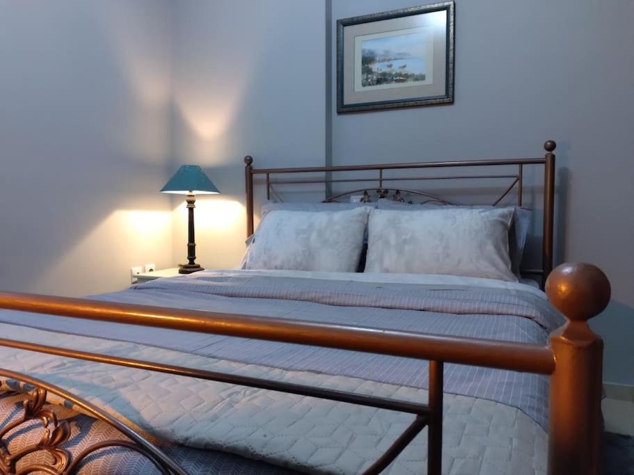 χαίρε, ξεΐνε, παρ' αμμι φιλησεαι Apartment Tríkala